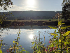 urlaub regensburg naabtal wandern.jpg